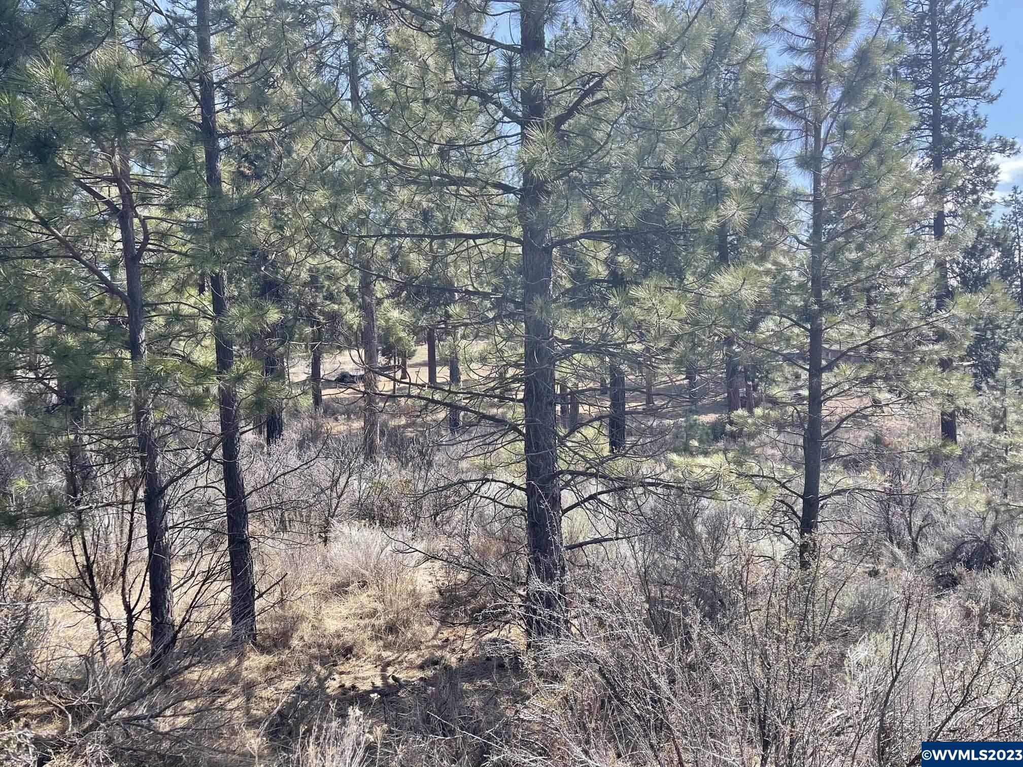 Irving (lot Chiloquin, OR 97624 - Photo 2 of 9