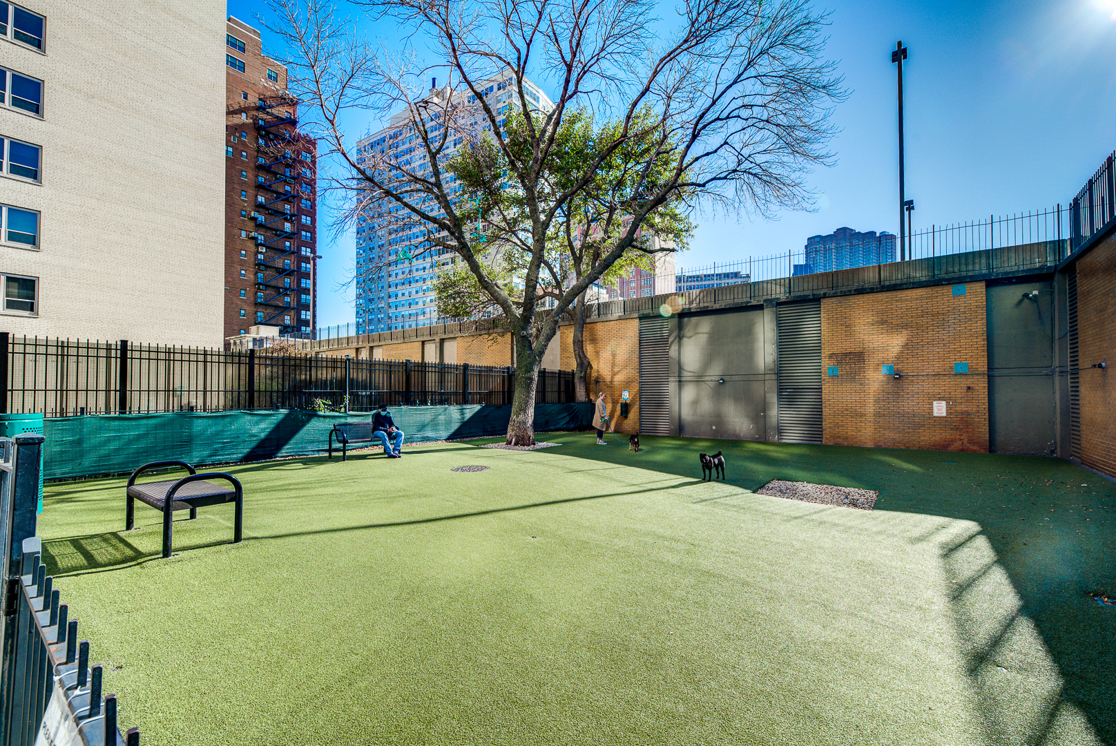 655 West Irving Park Road, Unit 3817 Chicago, IL 60613 - Photo 20 of 28 a house with a tree in the background