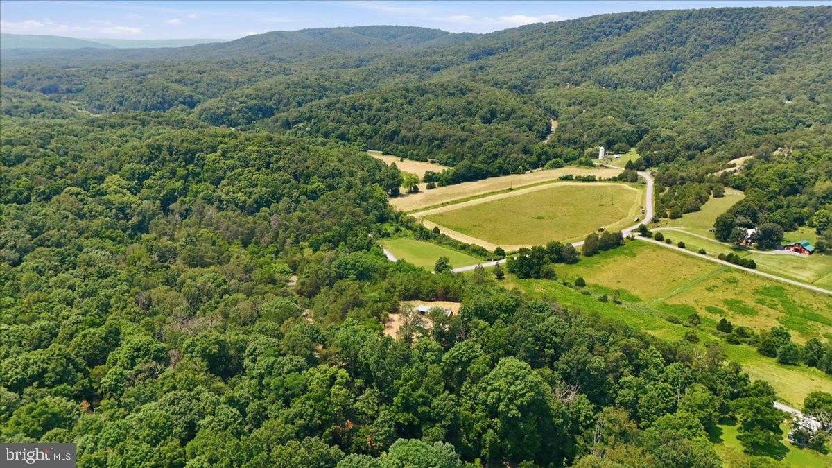 3300 Foxes Hollow Road Romney, WV 26757 - Photo 52 of 59