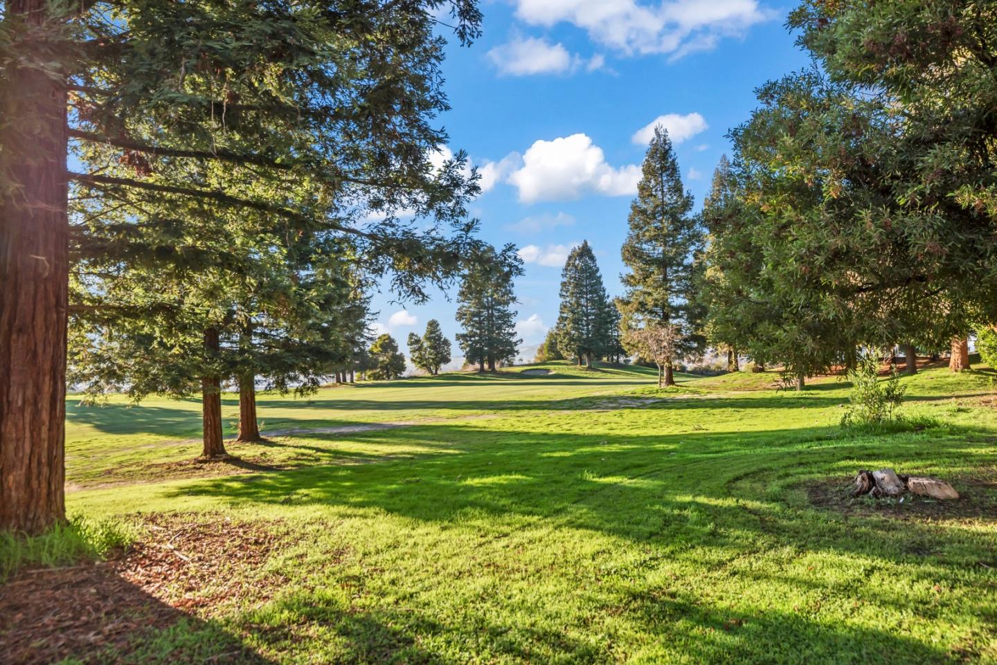 306 South Overlook Drive San Ramon, CA 94582 - Photo 28 of 30