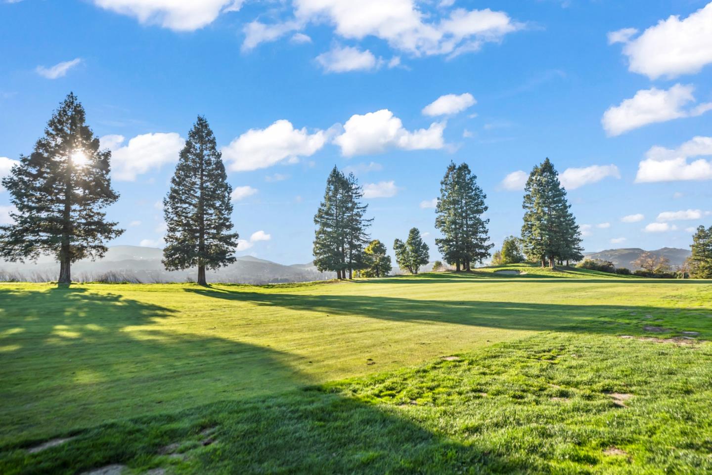 306 South Overlook Drive San Ramon, CA 94582 - Photo 29 of 30