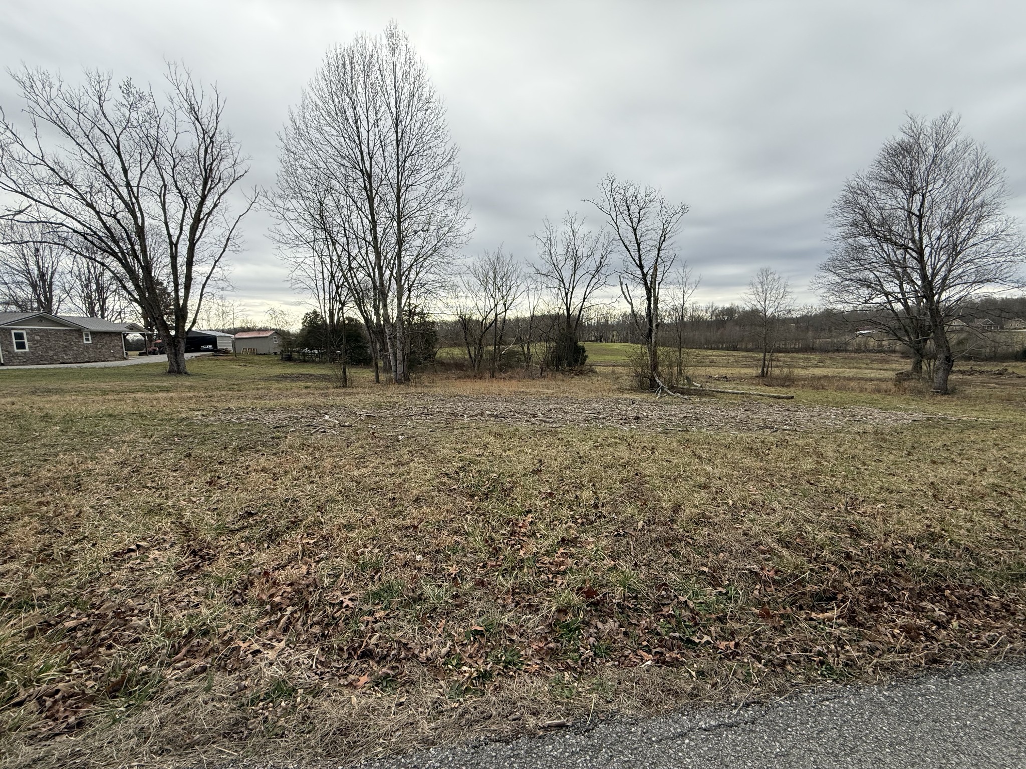0 Thomas Twin Oaks Road Baxter, TN 38544 - Photo 1 of 11 a view of a yard with trees