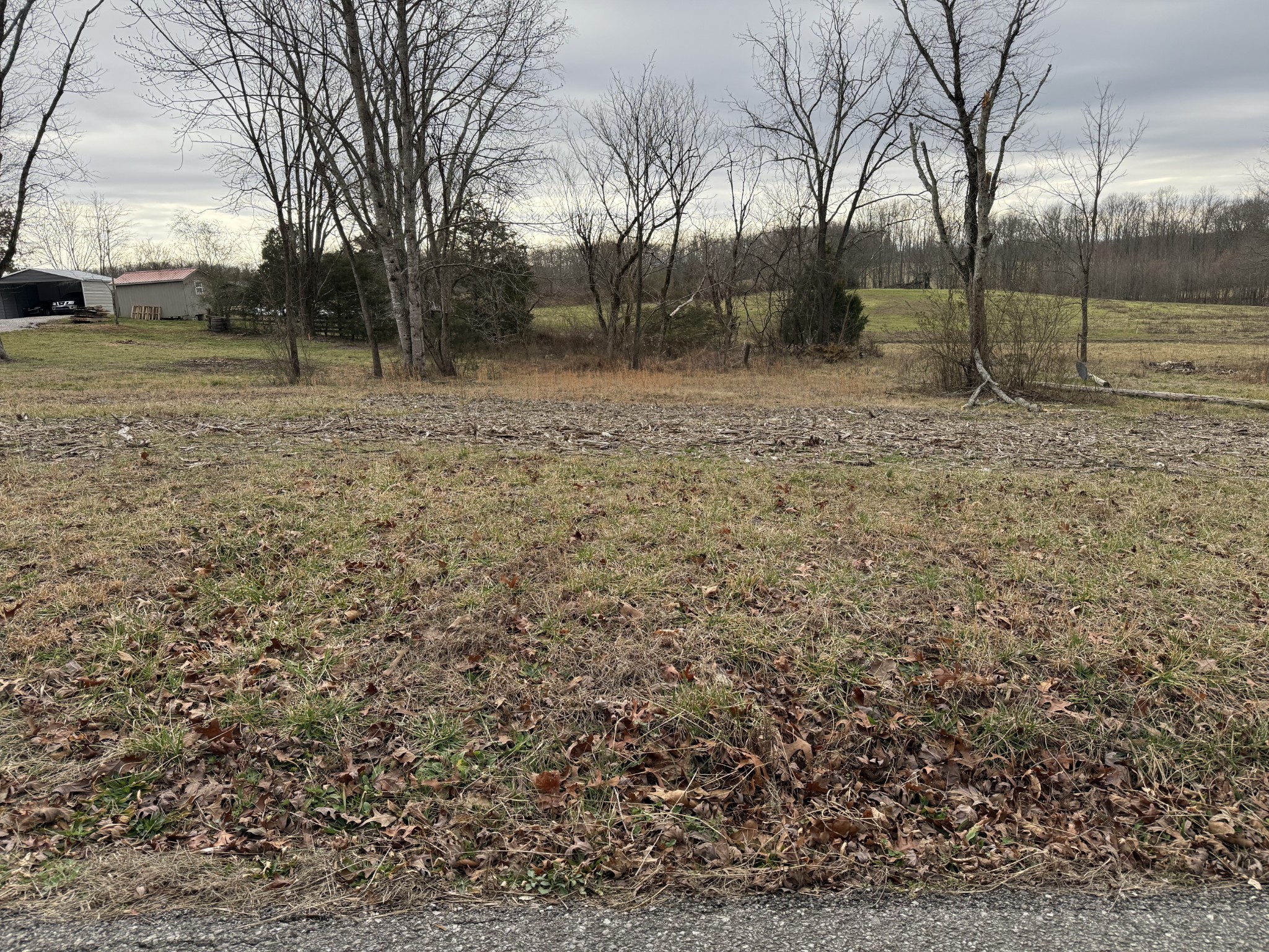 0 Thomas Twin Oaks Road Baxter, TN 38544 - Photo 3 of 11 a backyard of apartments with large trees