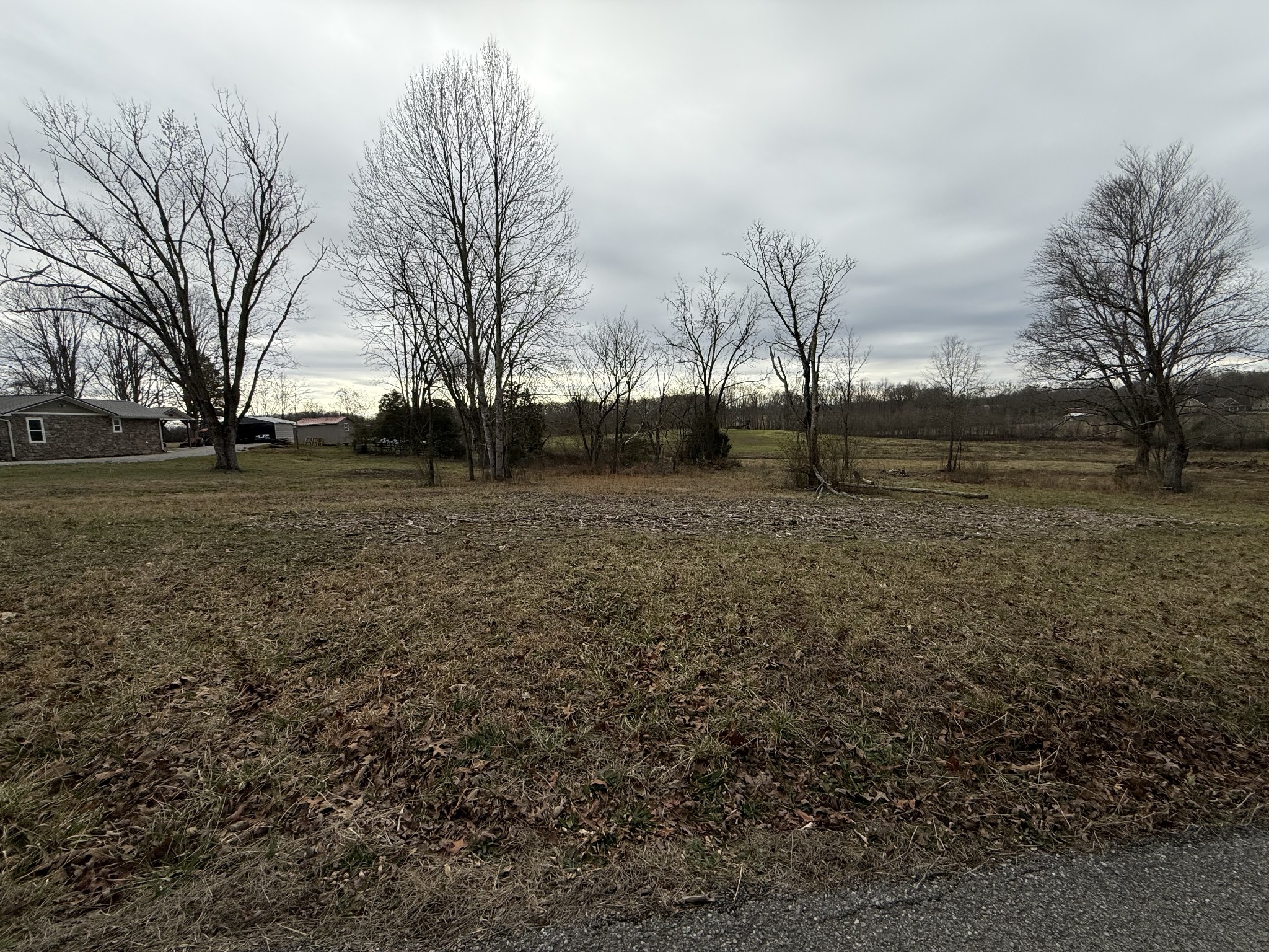 0 Thomas Twin Oaks Road Baxter, TN 38544 - Photo 5 of 11 a view of large yard with trees