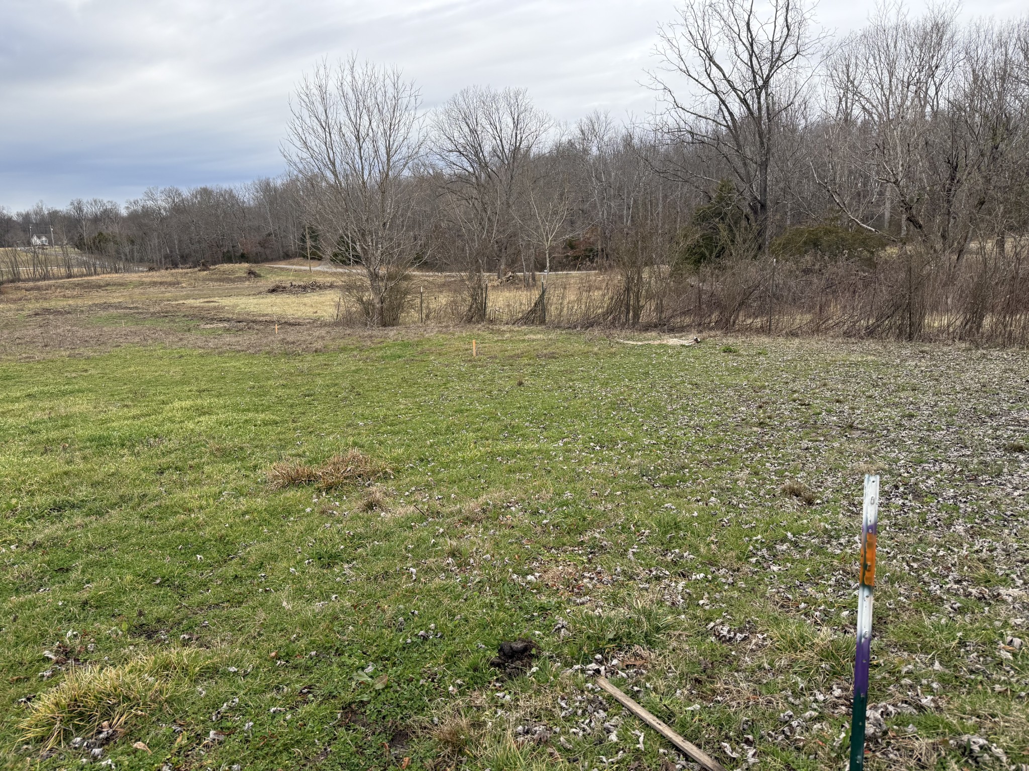 0 Thomas Twin Oaks Road Baxter, TN 38544 - Photo 6 of 11 a view of a lake with houses in the background