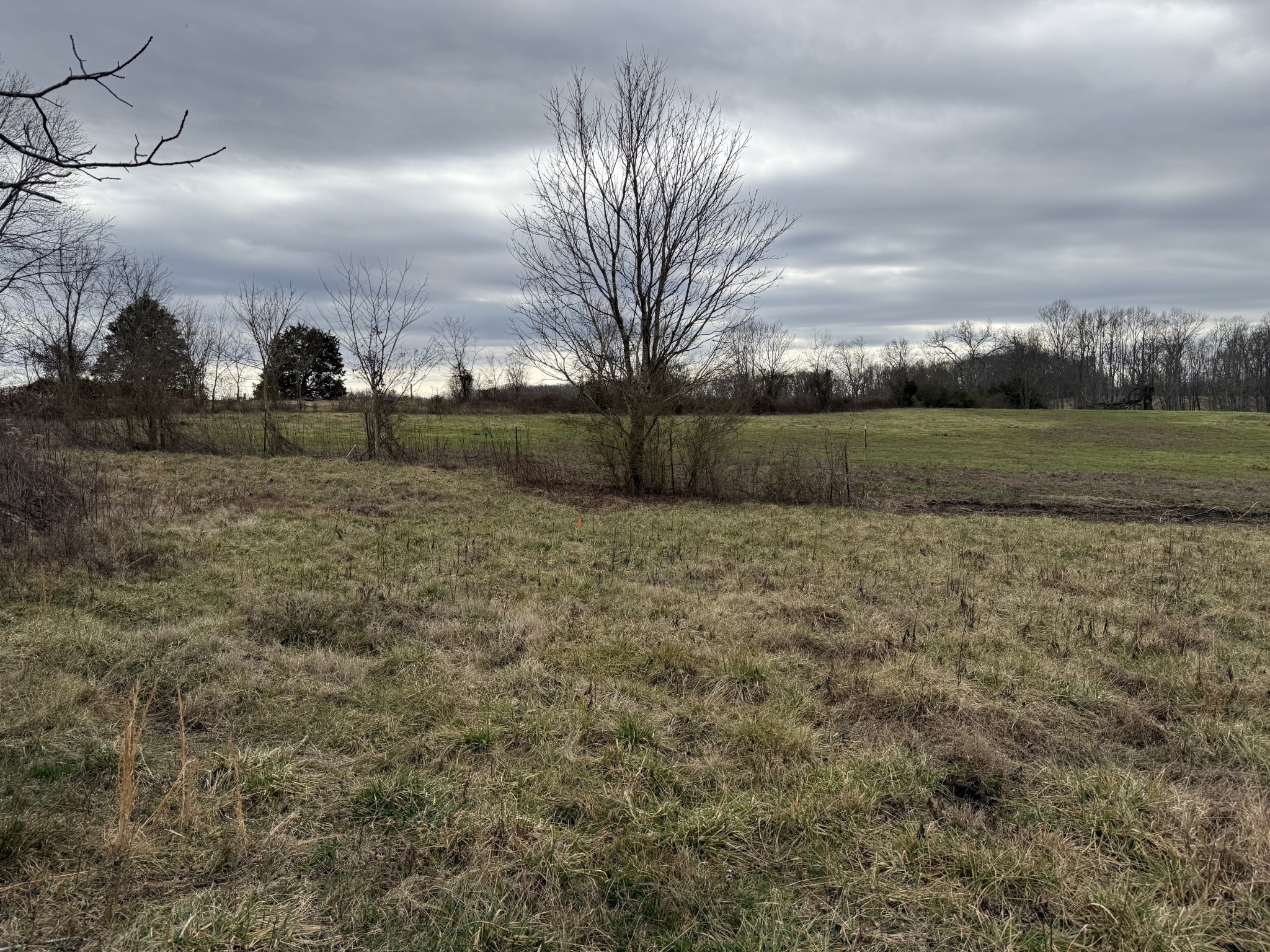 0 Thomas Twin Oaks Road Baxter, TN 38544 - Photo 7 of 11 a view of outdoor space with playground