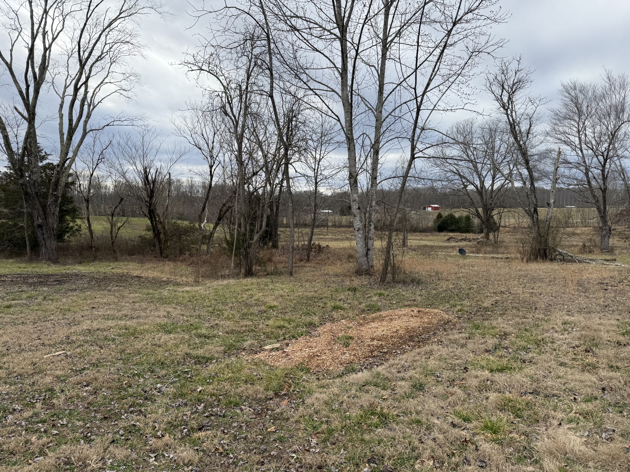 0 Thomas Twin Oaks Road Baxter, TN 38544 - Photo 8 of 11 a view of outdoor space with trees