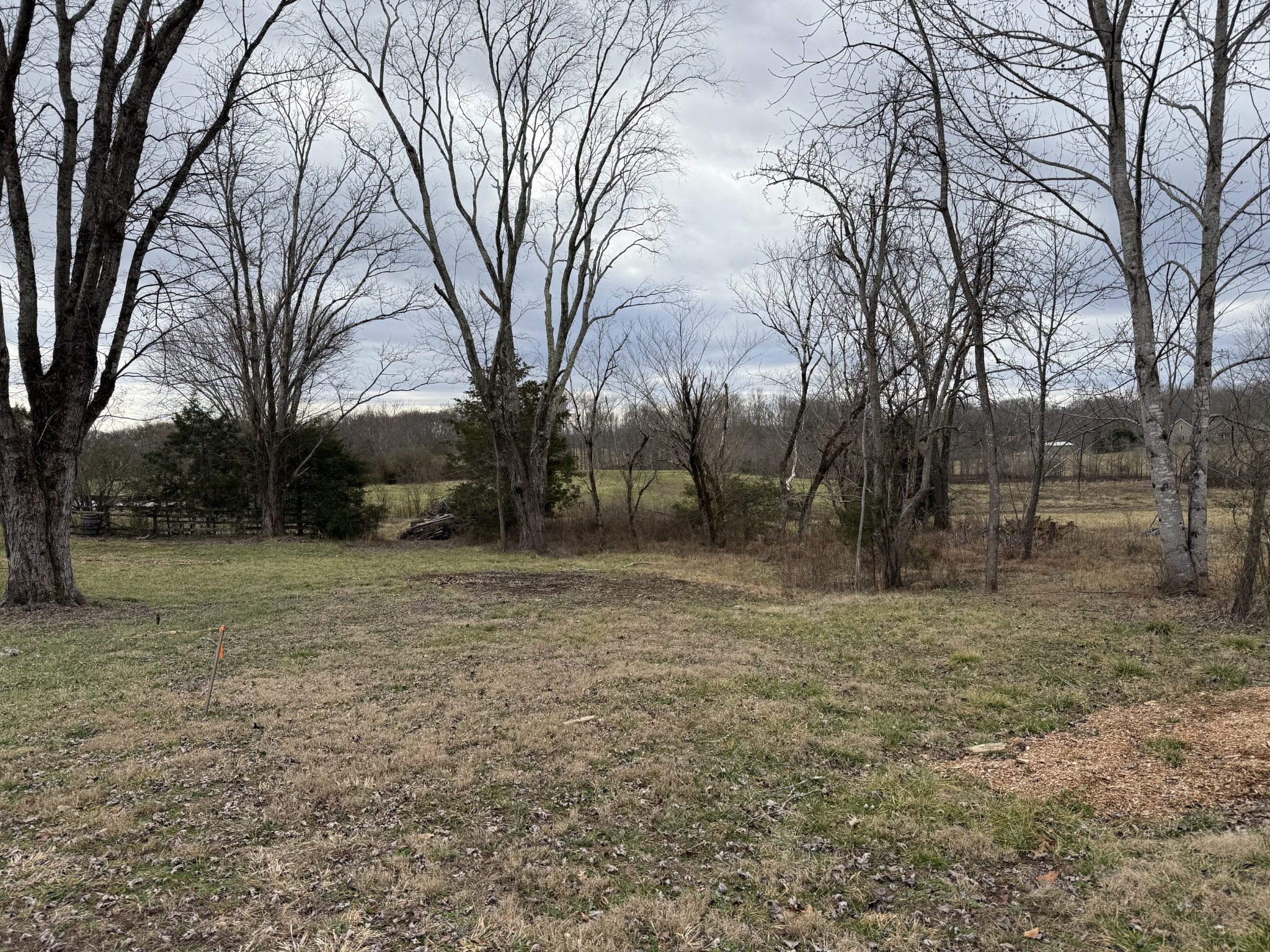 0 Thomas Twin Oaks Road Baxter, TN 38544 - Photo 10 of 11 a view of a yard with a tree