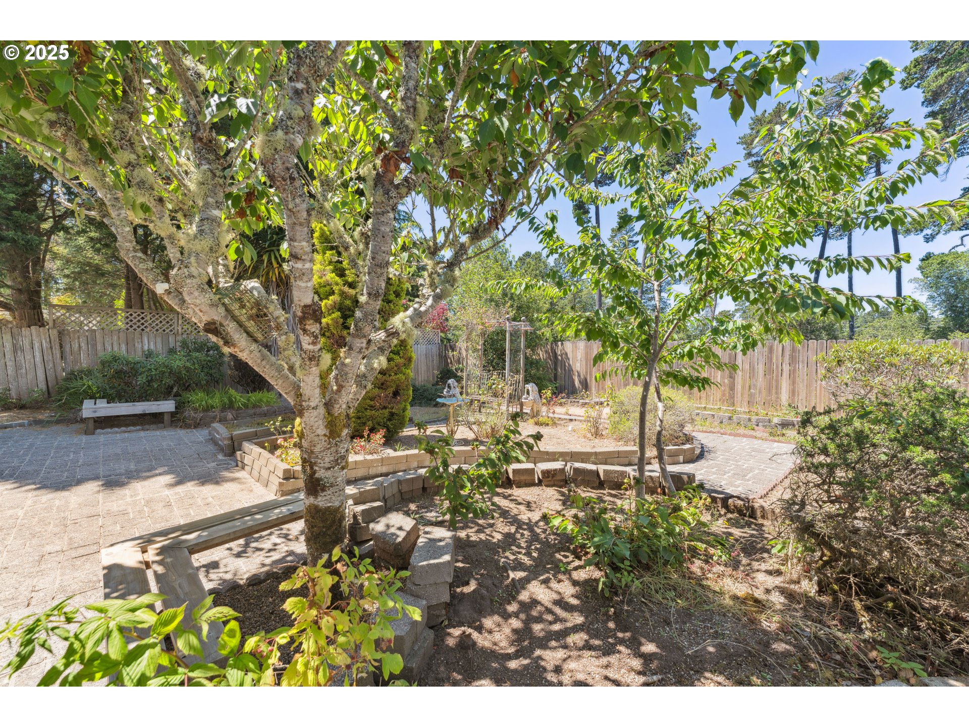 3909 Spruce Street Florence, OR 97439 - Photo 33 of 40 Yard