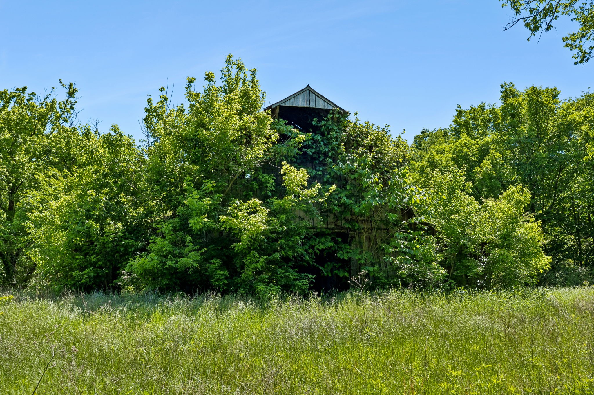 655 Burton Ridge Road Silver Point, TN 38582 - Photo 37 of 64