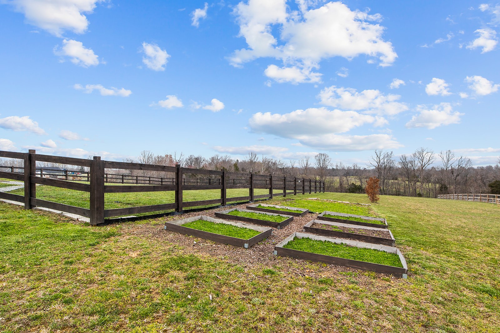 825 Hooper Road Charlotte, TN 37036 - Photo 29 of 43 Gallery Image 29
