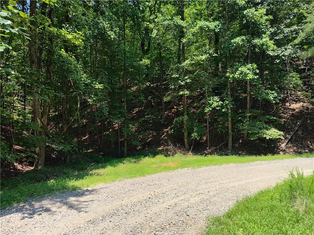 560 Neptune Circle Ranger, GA 30734 - Photo 27 of 30