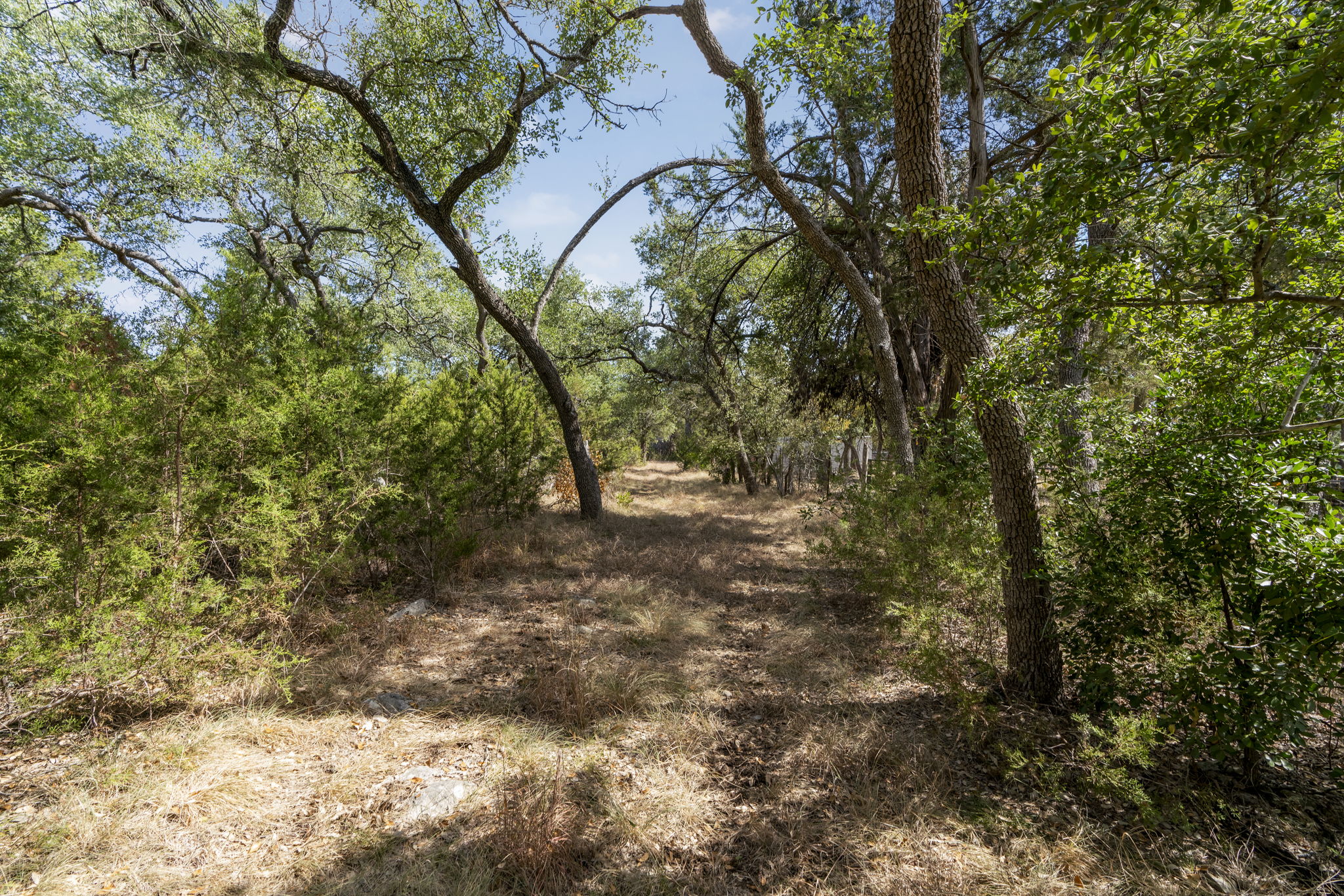 1930 South Rainbow Ranch Road Wimberley, TX 78676 - Photo 16 of 40