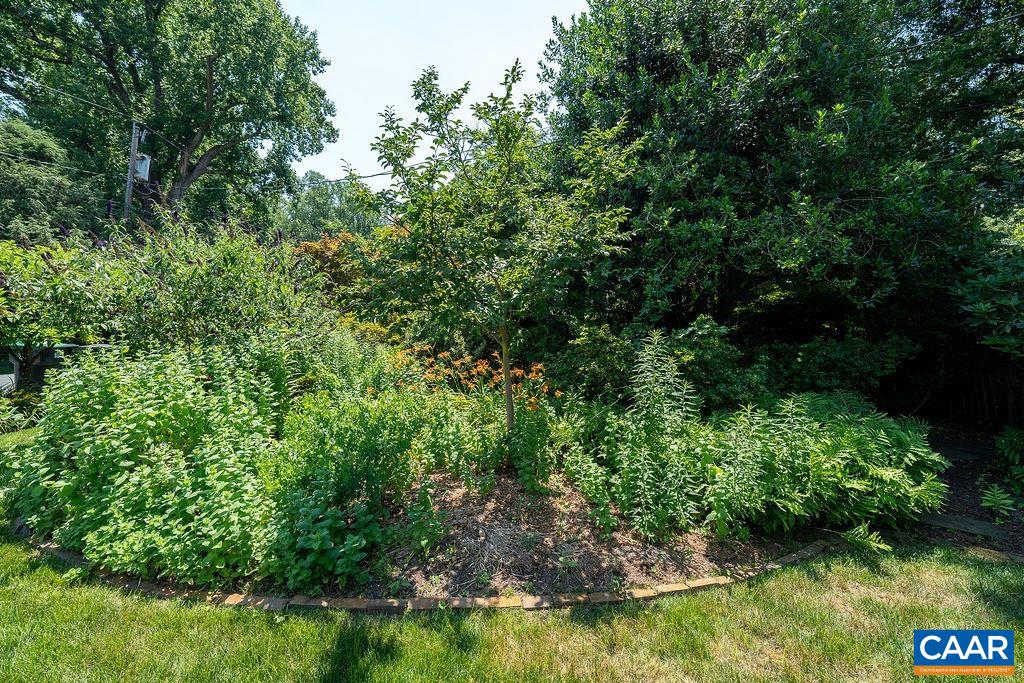 1866 Winston Road Charlottesville, VA 22903 - Photo 54 of 69