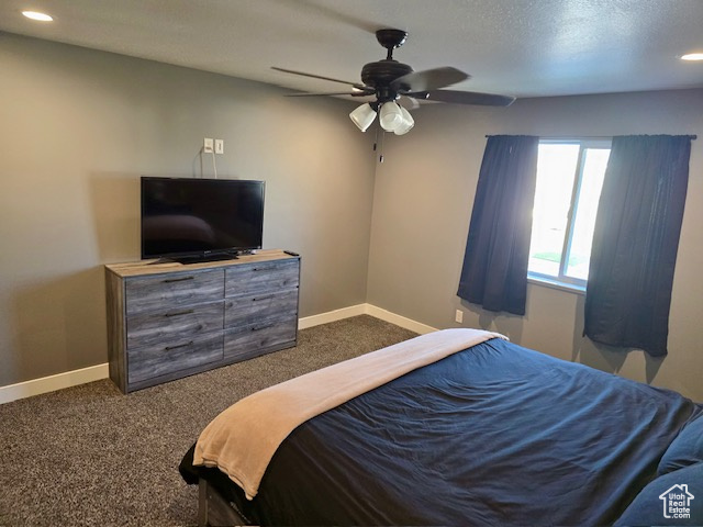 718 700 East Preston, ID 83263 - Photo 12 of 45 2nd view of primary bedroom