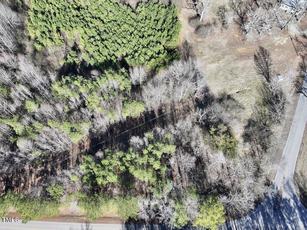 1 Savage Road Spring Hope, NC 27882 - Photo 11 of 26 a plant with lots of trees