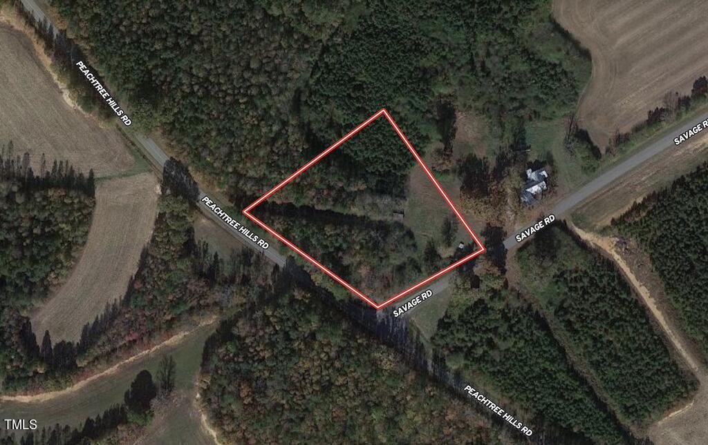 1 Savage Road Spring Hope, NC 27882 - Photo 25 of 26 a view of backyard with green space