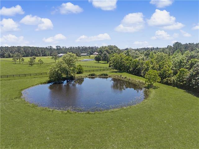 50156 Turnpike Road Folsom, LA 70437 - Photo 8 of 49