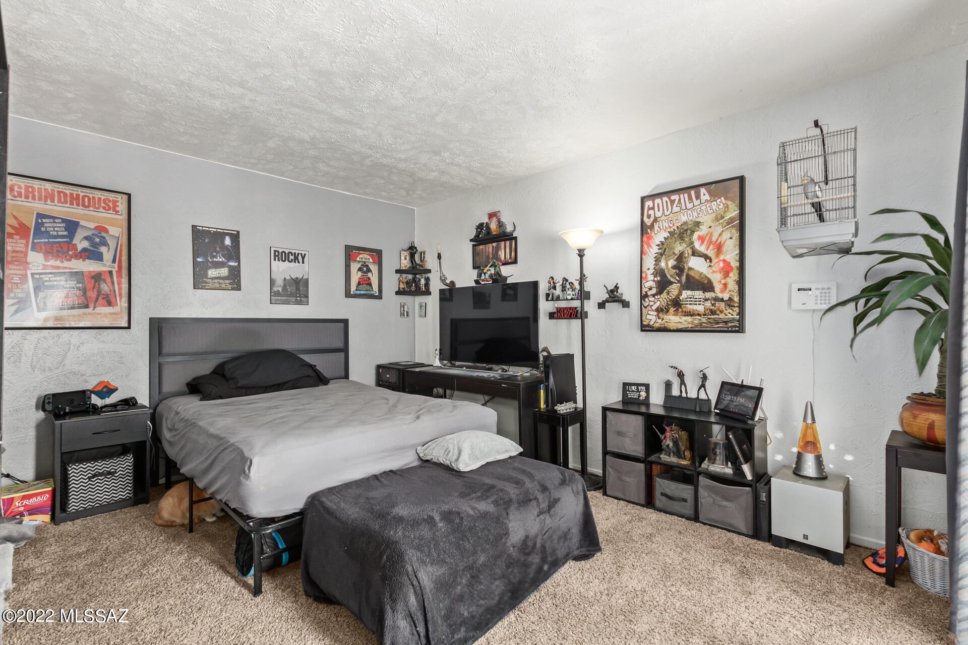 1620 North Wilmot Road, Unit D273 Tucson, AZ 85712 - Photo 7 of 15 a bedroom with a bed a dresser and book shelf