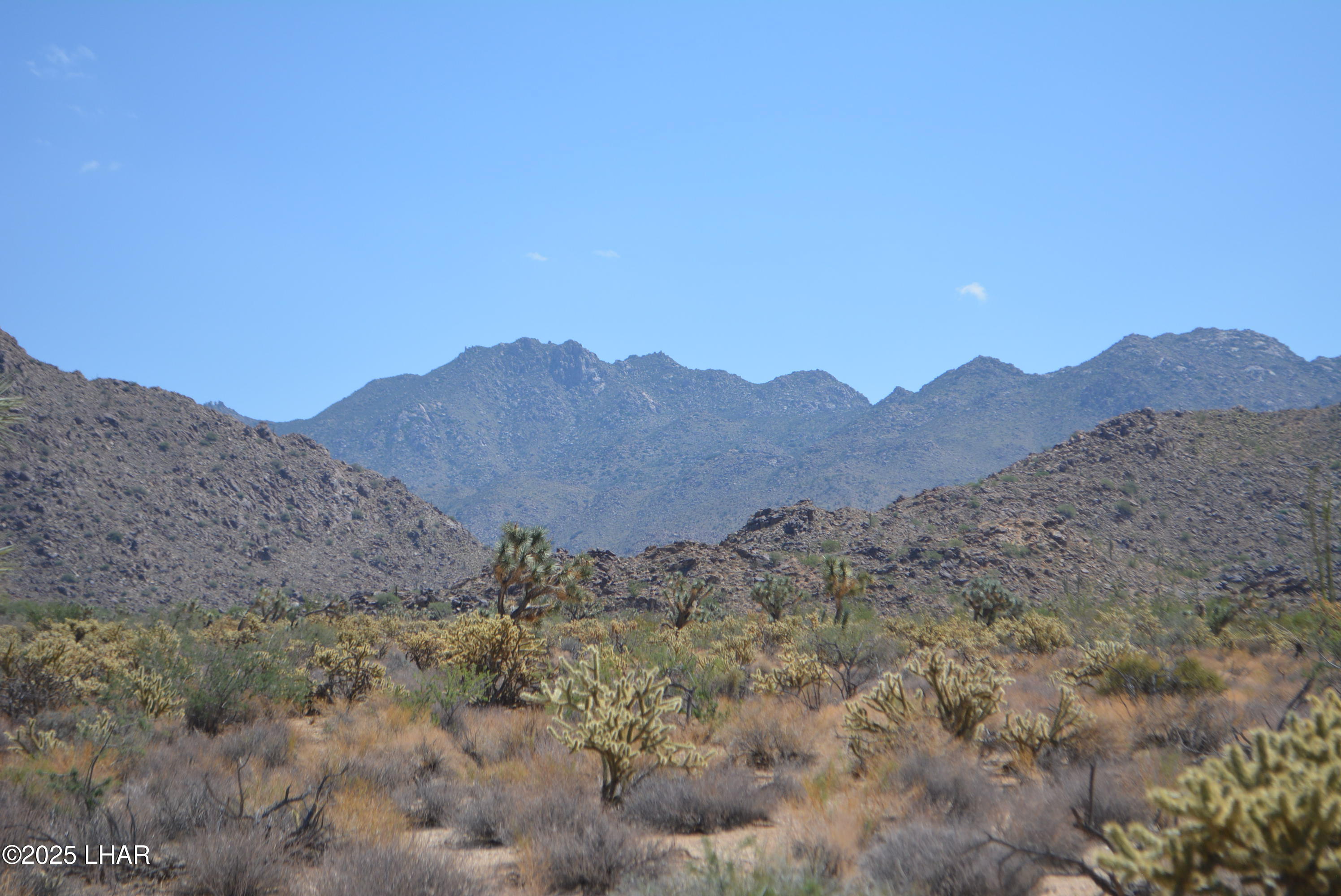11869 Central Road Yucca, AZ 86438 - Photo 3 of 67 DSC_0122