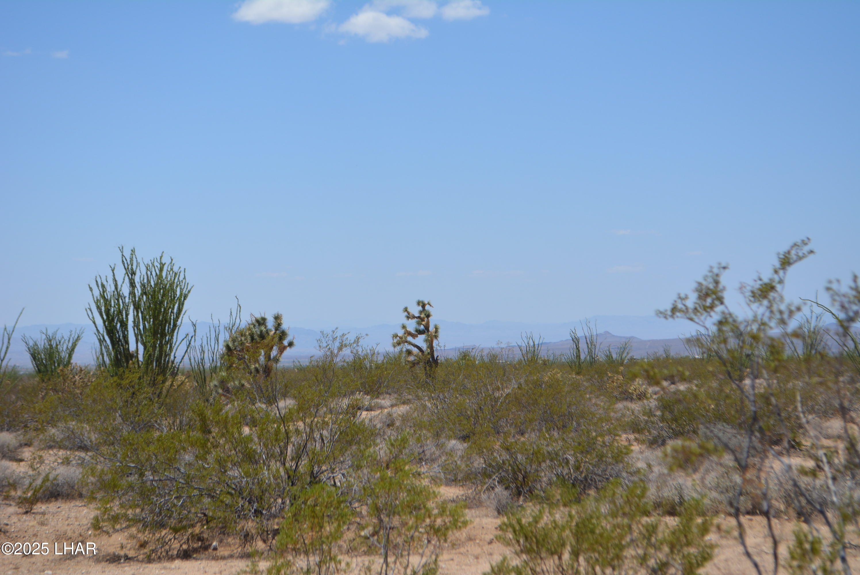 11869 Central Road Yucca, AZ 86438 - Photo 54 of 67 DSC_0175