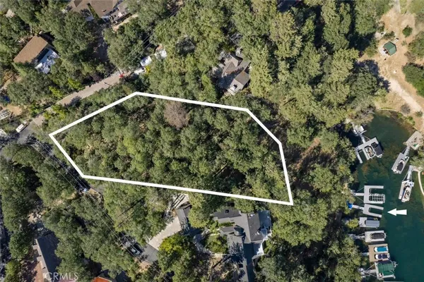 a view of a yard with a plant