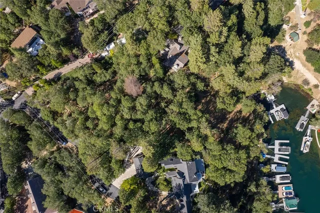 an aerial view of residential houses with outdoor space and trees