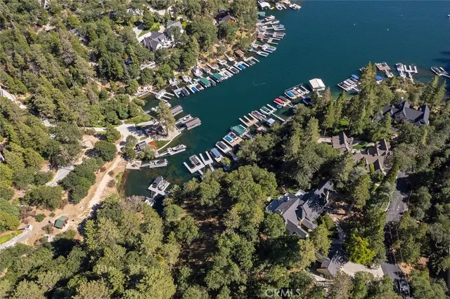 a picture of flowers