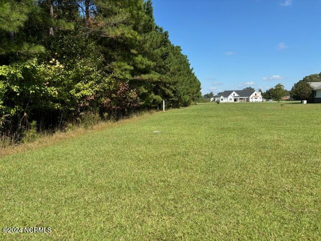 973 Forlines Road Winterville, NC 28590 - Photo 62 of 71 Looking toward Forlines Road Along Right Treeline