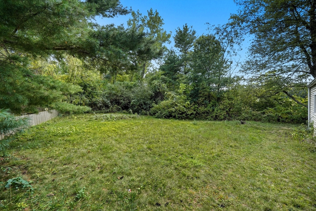 145 Amostown Road West Springfield, MA 01089 - Photo 26 of 26 a view of a yard with a tree