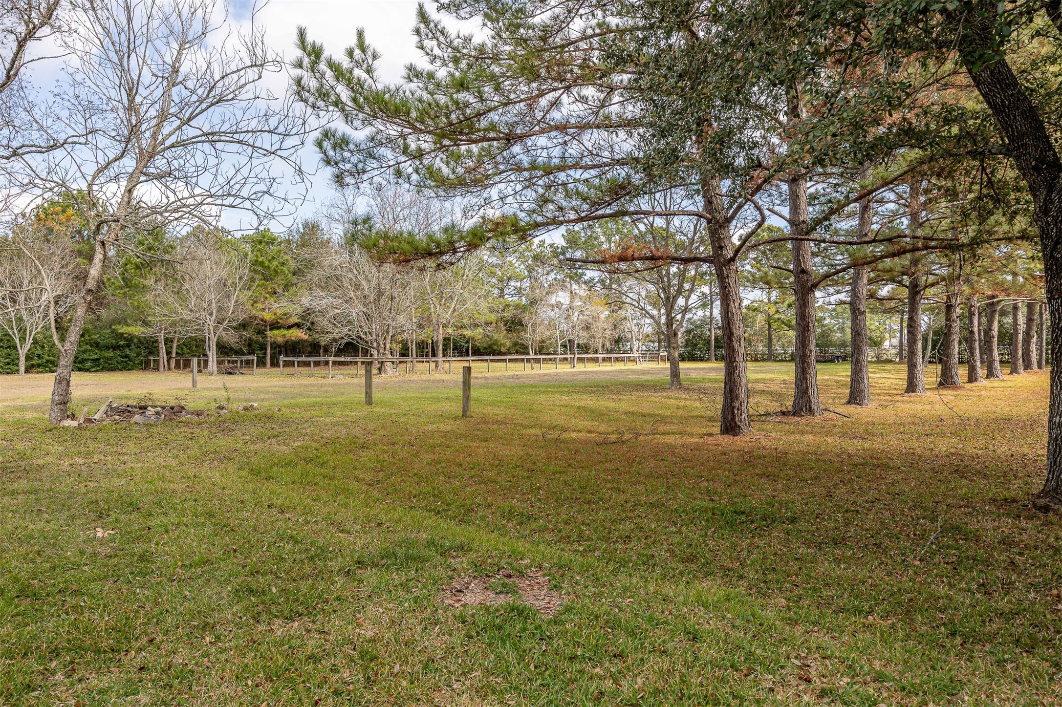 329 Burwell Road Highlands, TX 77562 - Photo 38 of 44 a view of road with trees