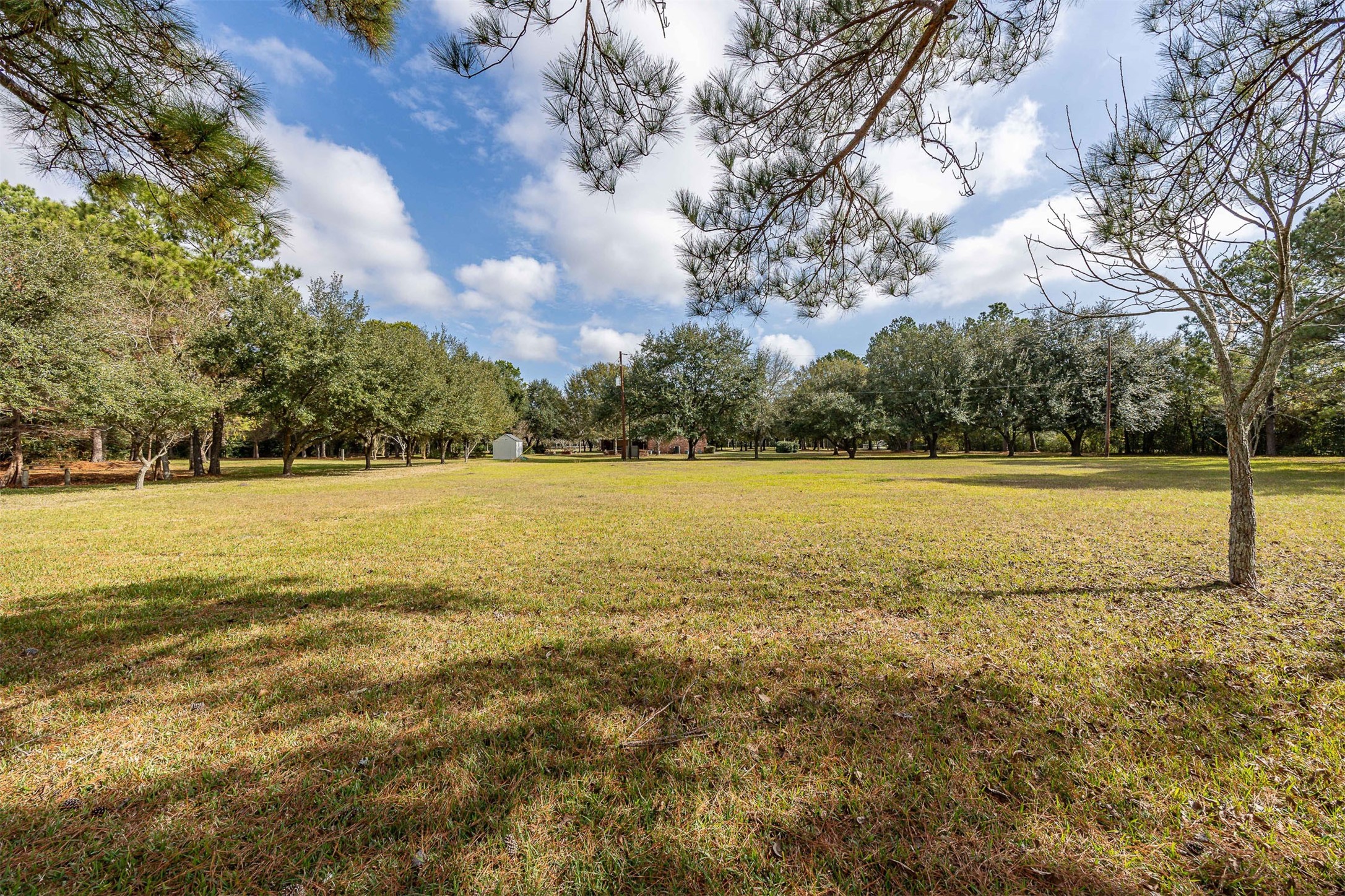 329 Burwell Road Highlands, TX 77562 - Photo 40 of 44 a view of yard with lake view