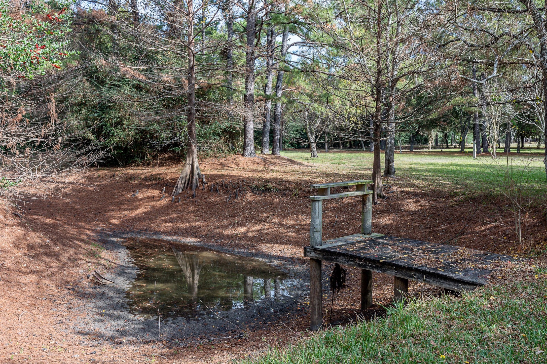 329 Burwell Road Highlands, TX 77562 - Photo 41 of 44 a view of a backyard with trees