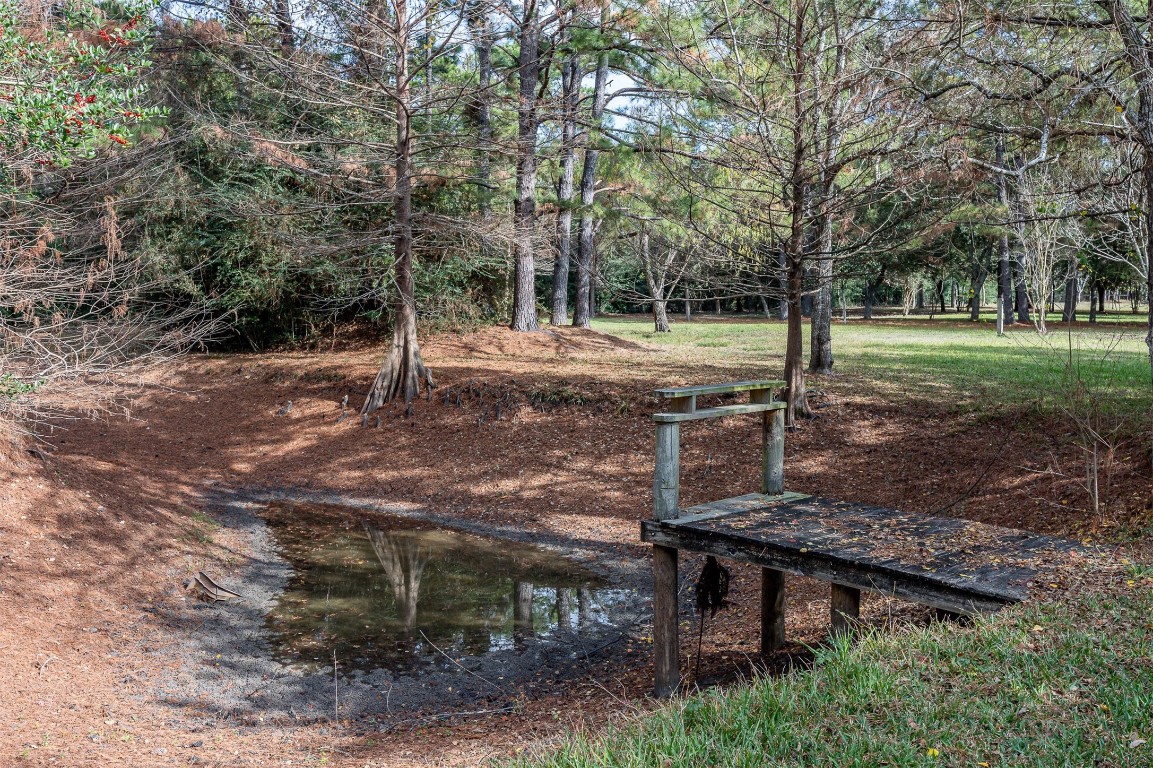 329 Burwell Road Highlands, TX 77562 - Photo 41 of 44 a view of a backyard with trees