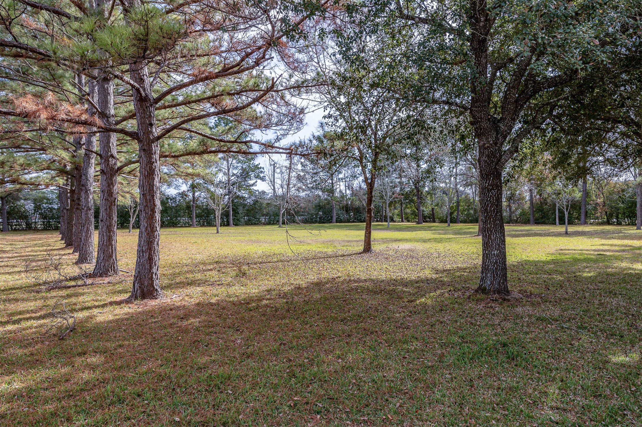 329 Burwell Road Highlands, TX 77562 - Photo 42 of 44 a view of a park with large trees