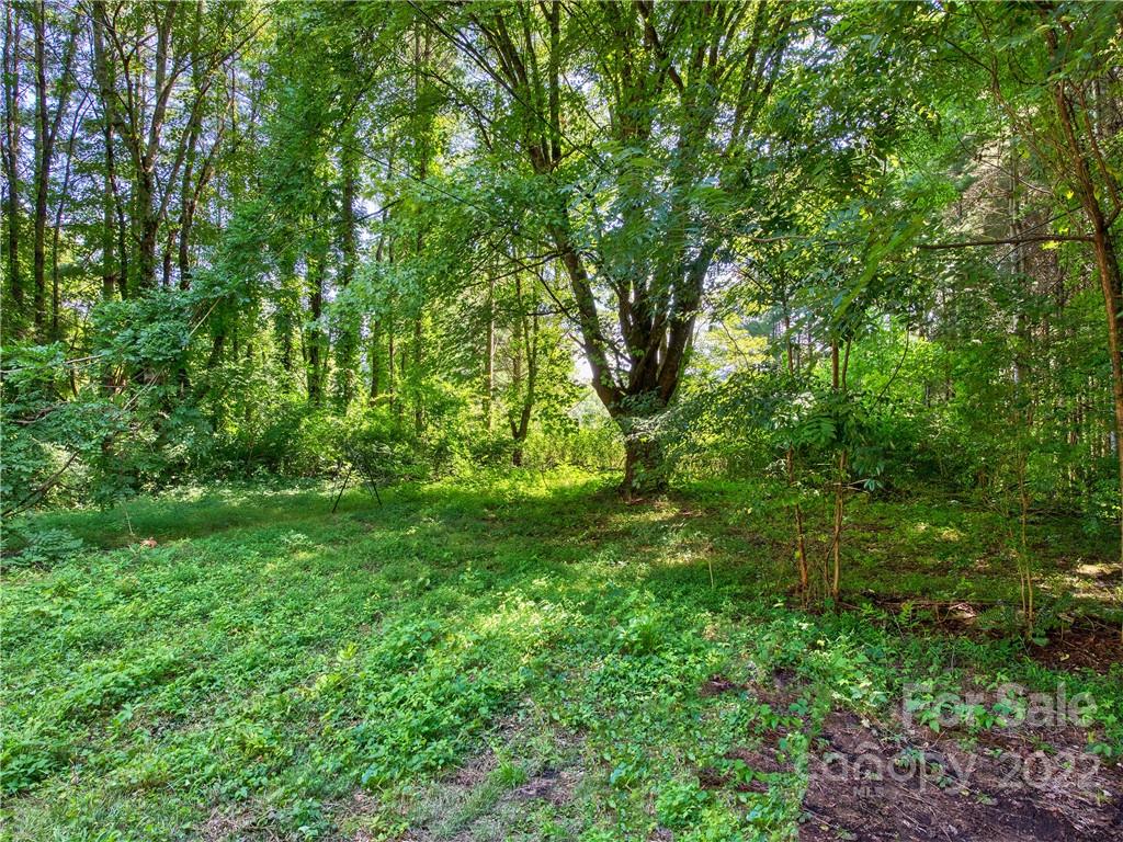 495 Franklin Grove Road Bryson City, NC 28713 - Photo 14 of 19 Gallery Image 14