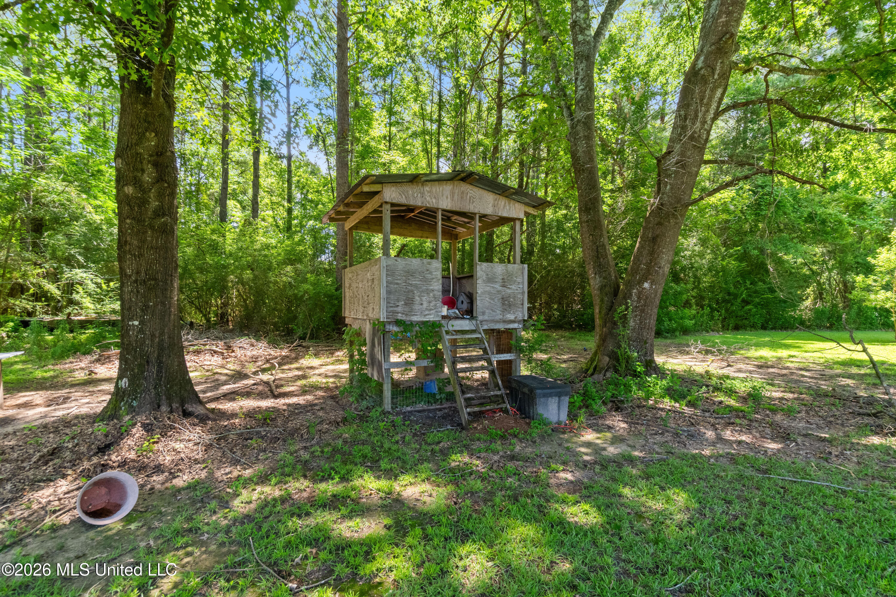 955 Clara Road Waynesboro, MS 39367 - Photo 40 of 45 955_Clara_Rd-40