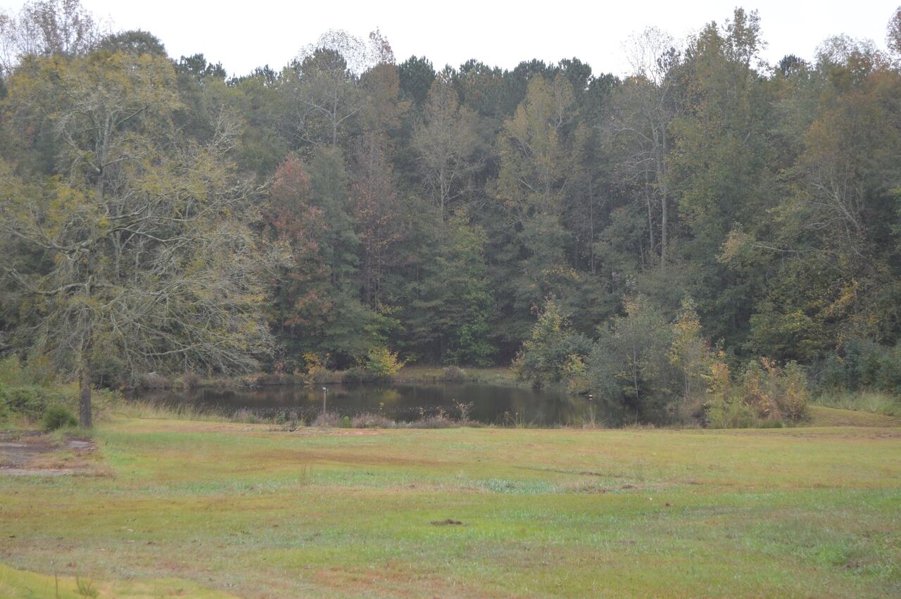 1809 Rocky Creek Road Hampton, GA 30228 - Photo 1 of 1 a view of a lake in middle of the town