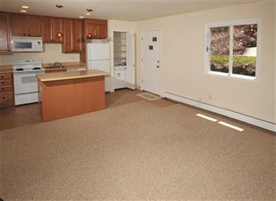 2783 Kinnickinnick Road, Unit 3 Vail, CO 81657 - Photo 3 of 14 Additional Photo