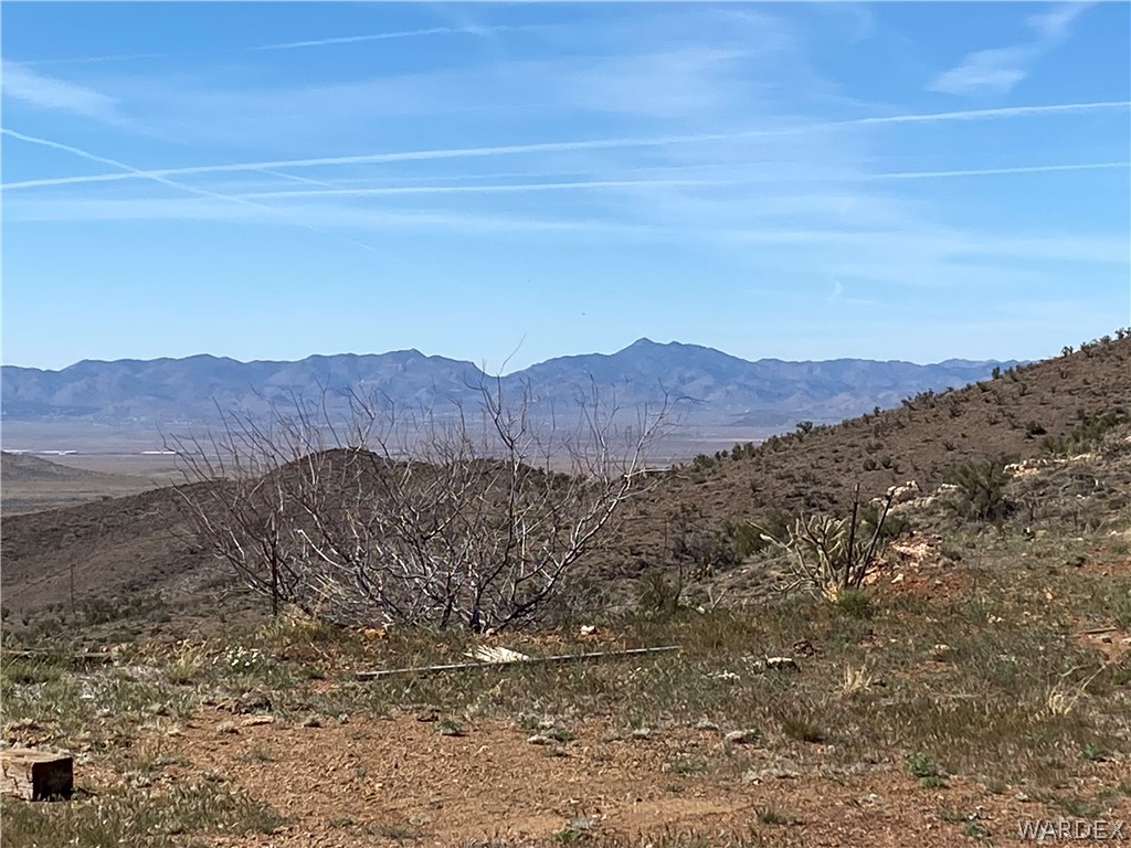 9095 Elliott Ridge Road Kingman, AZ 86401 - Photo 49 of 54 a view of a lush green field with mountains in the background