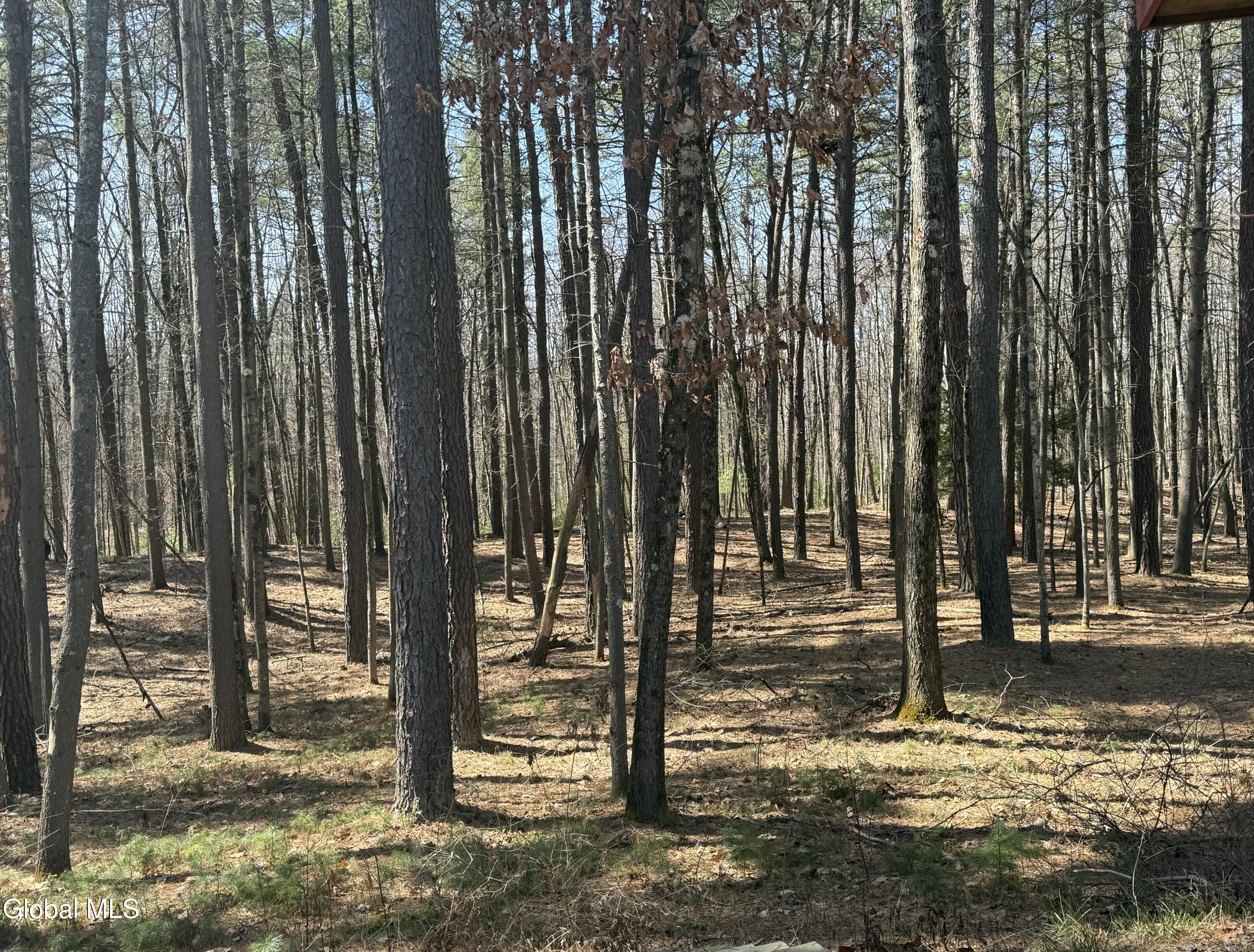 354 Ruggles Road Wilton, NY 12831 - Photo 36 of 41 36