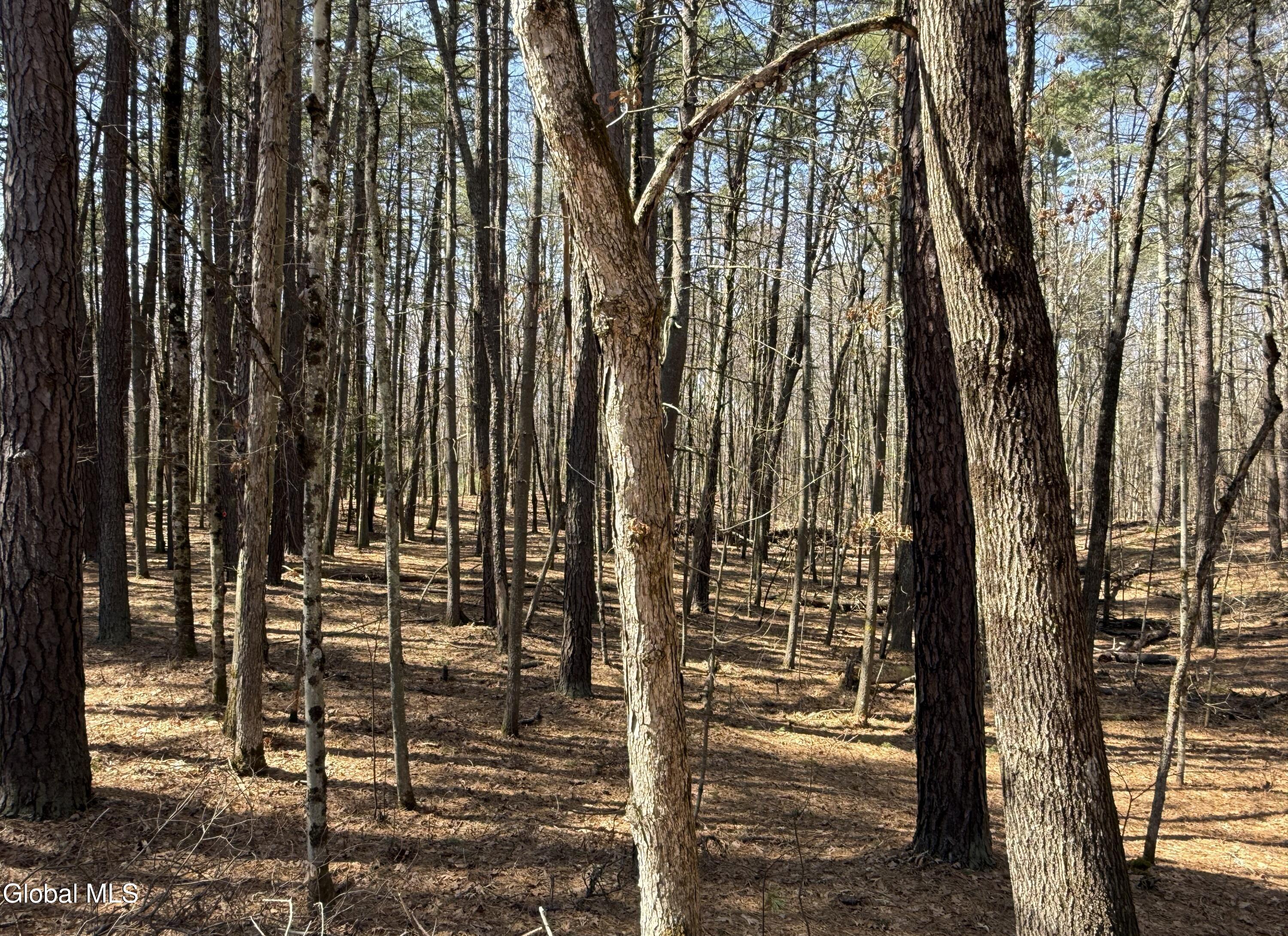 354 Ruggles Road Wilton, NY 12831 - Photo 37 of 41 37