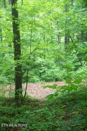 $137,500 | 483 Chetola Trail, Townsend, TN 37882