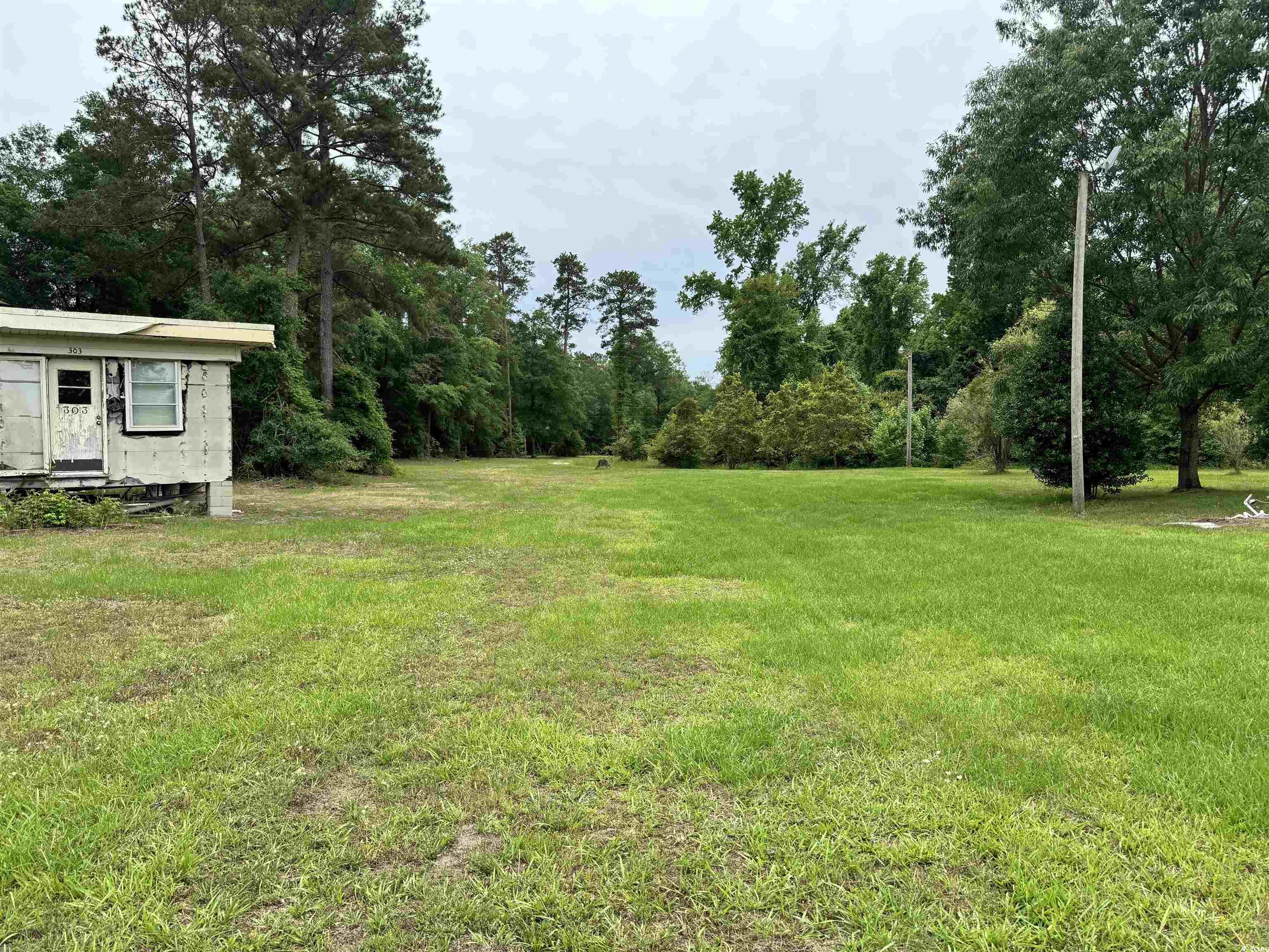 201 South Nichols Street Nichols, SC 29581 - Photo 27 of 37