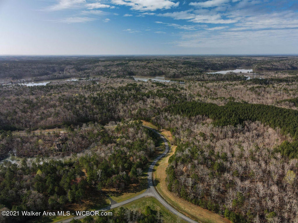 Lot#89 Stoney Point Road North Double Springs, AL 35553 - Photo 28 of 32 Gallery Image 28