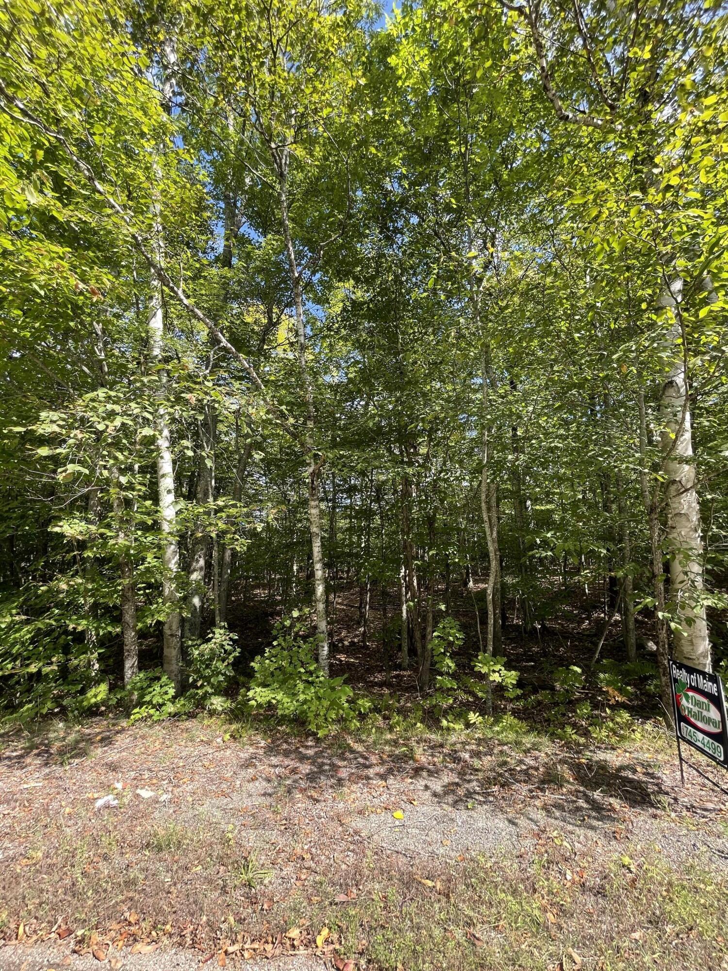Lot 10-2 Lily Road Dedham, ME 04429 - Photo 6 of 7 8D6997DD-B4BB-43B9-9487-973E424FABA5