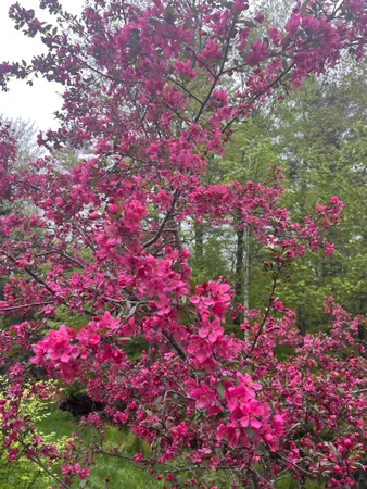 $349,900 | 83 Jackson Drive, Washington, NH 03280