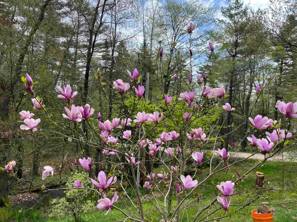 $349,900 | 83 Jackson Drive, Washington, NH 03280