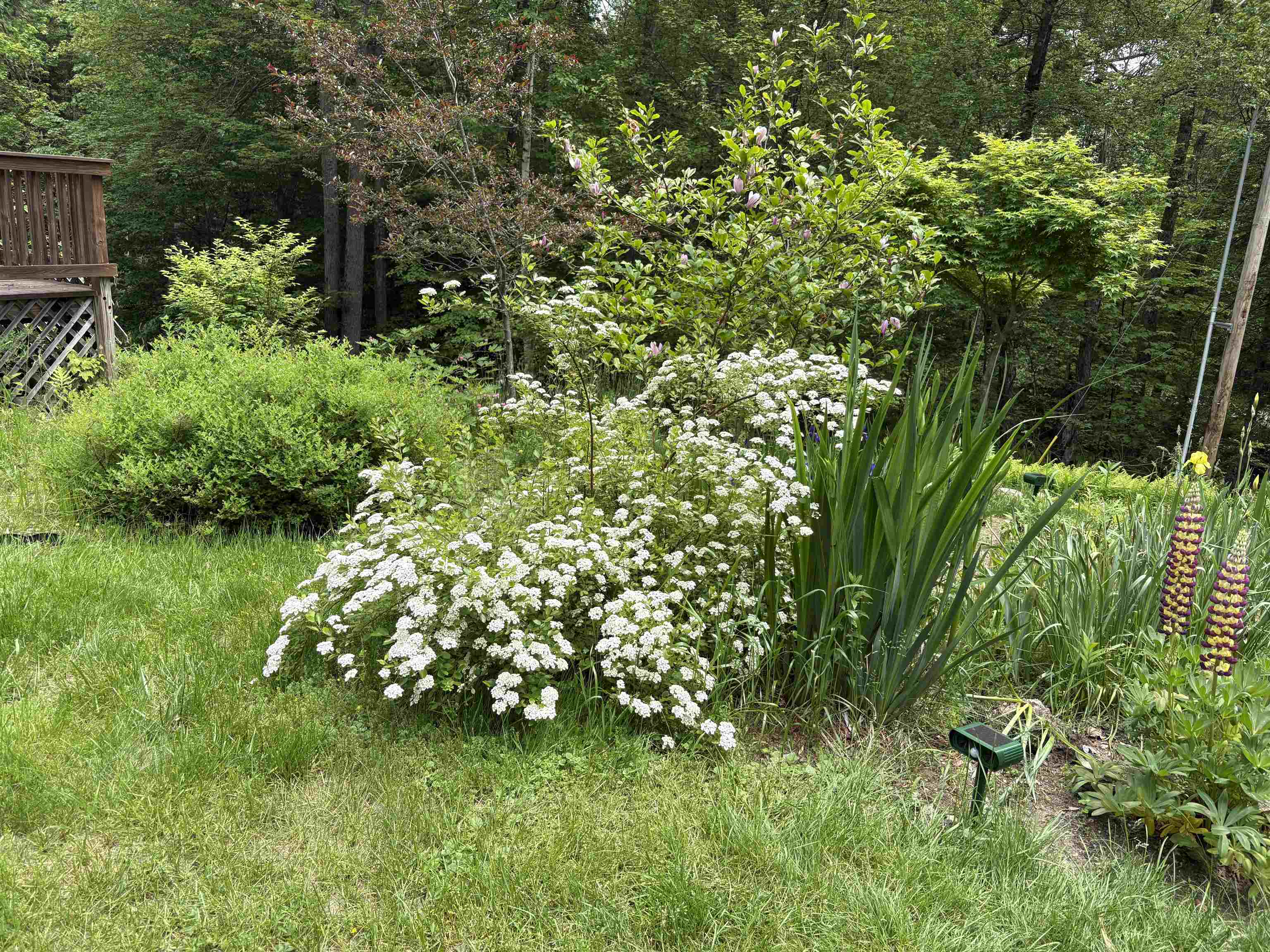 83 Jackson Drive Washington, NH 03280 - Photo 6 of 34