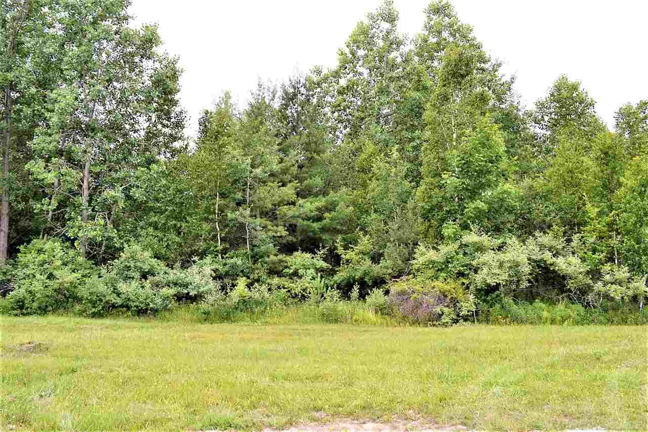 5740 Patz Road Palms, MI 48465 - Photo 7 of 10